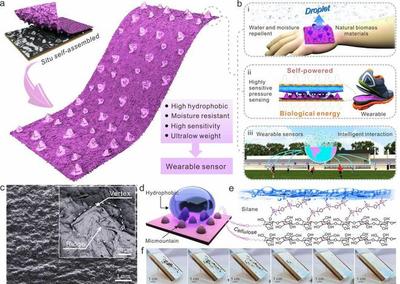 聂双喜教授课题组Nano Energy:抗湿的纳米纤维素摩擦电材料用于人体运动监测